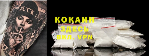гидра Алексин