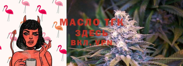 гидра Алексин