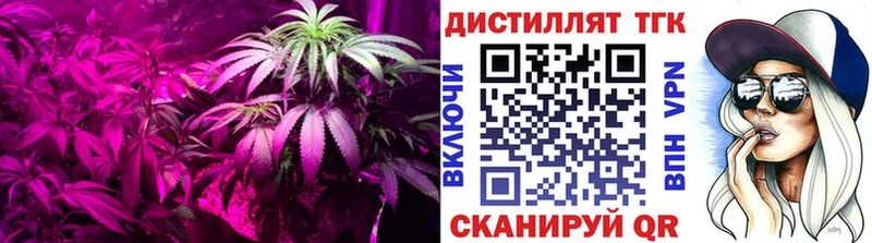 закладка  Невинномысск  Дистиллят ТГК THC oil 