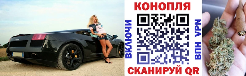 Каннабис индика  Невинномысск 